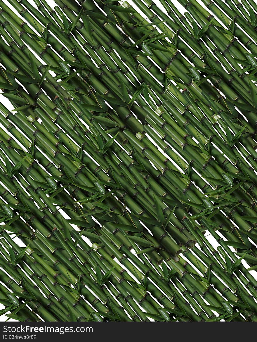 Bamboo Texture