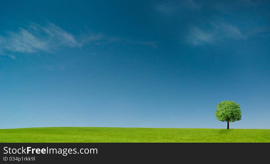 Background of cloudy sky and grass. Background of cloudy sky and grass