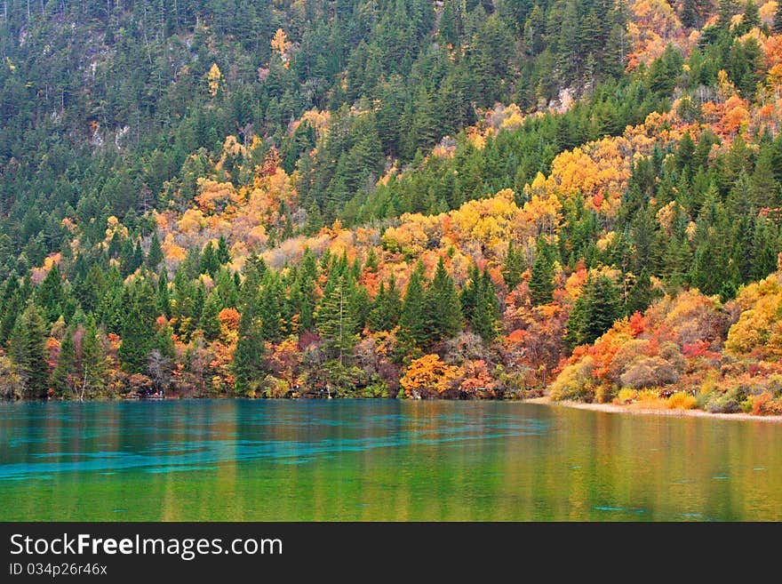 Autumn in Jiuzhaigou, Sichuan, China