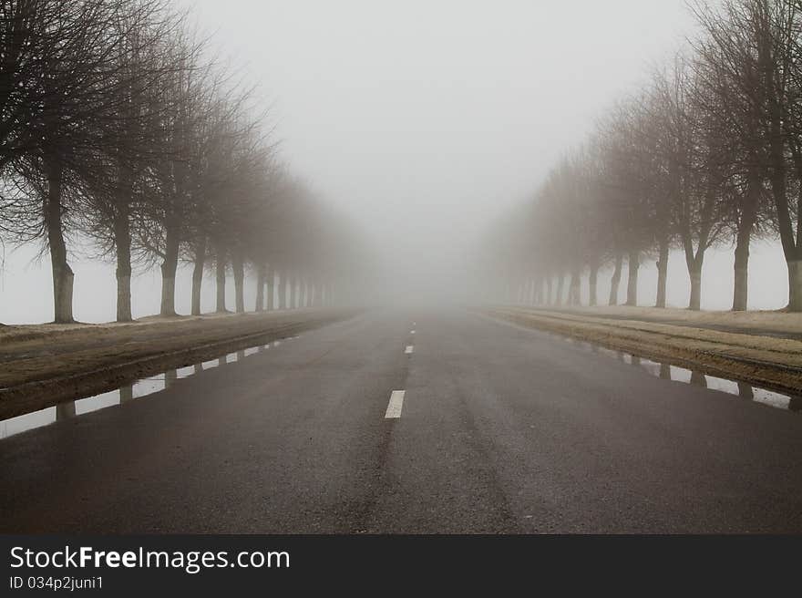 Road during the big fog in a winter season. Road during the big fog in a winter season