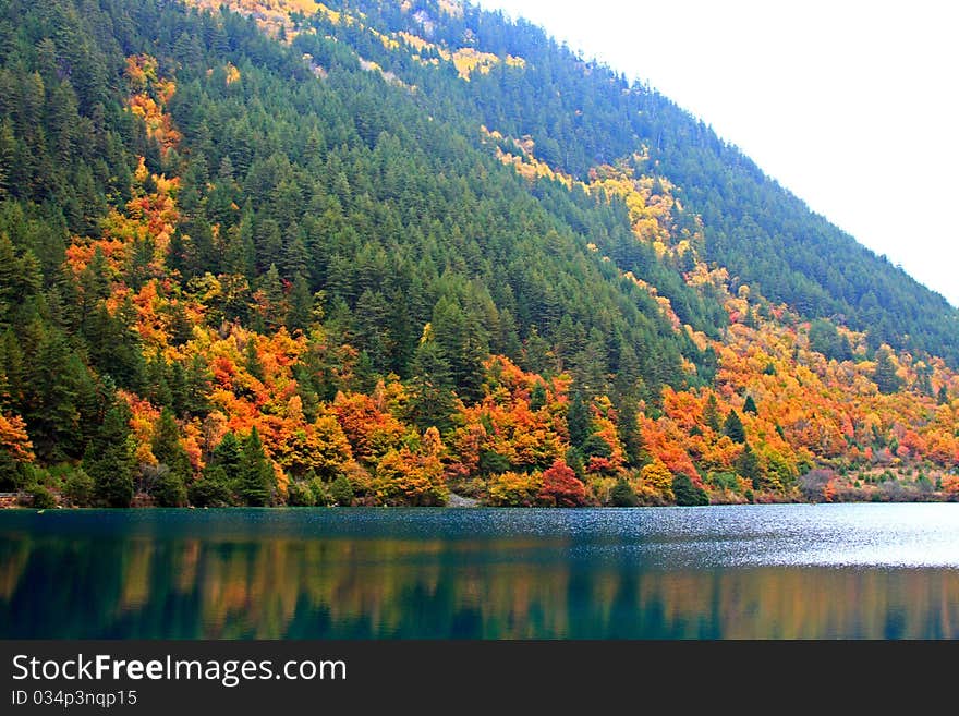 Autumn in Jiuzhaigou, Sichuan, China