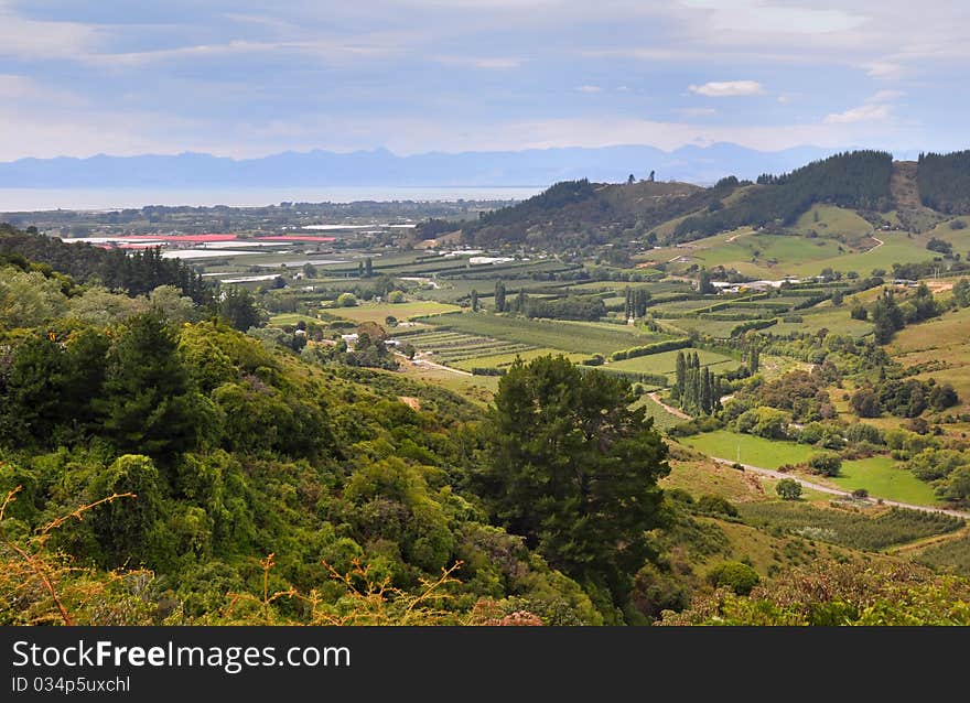 Apple orchards in the Riwaka Valley, near Motueka, New Zealand. 
The view from the Takaka Hills, Abel Tasman National Park with Nelson in the background. Apple orchards in the Riwaka Valley, near Motueka, New Zealand. 
The view from the Takaka Hills, Abel Tasman National Park with Nelson in the background.