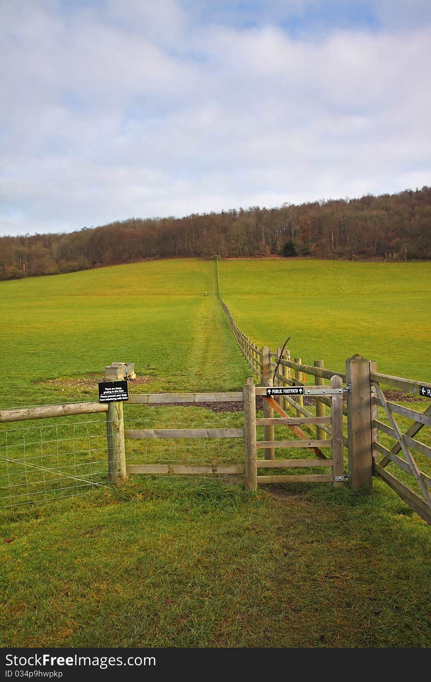 An English Rural Landscape in Winter