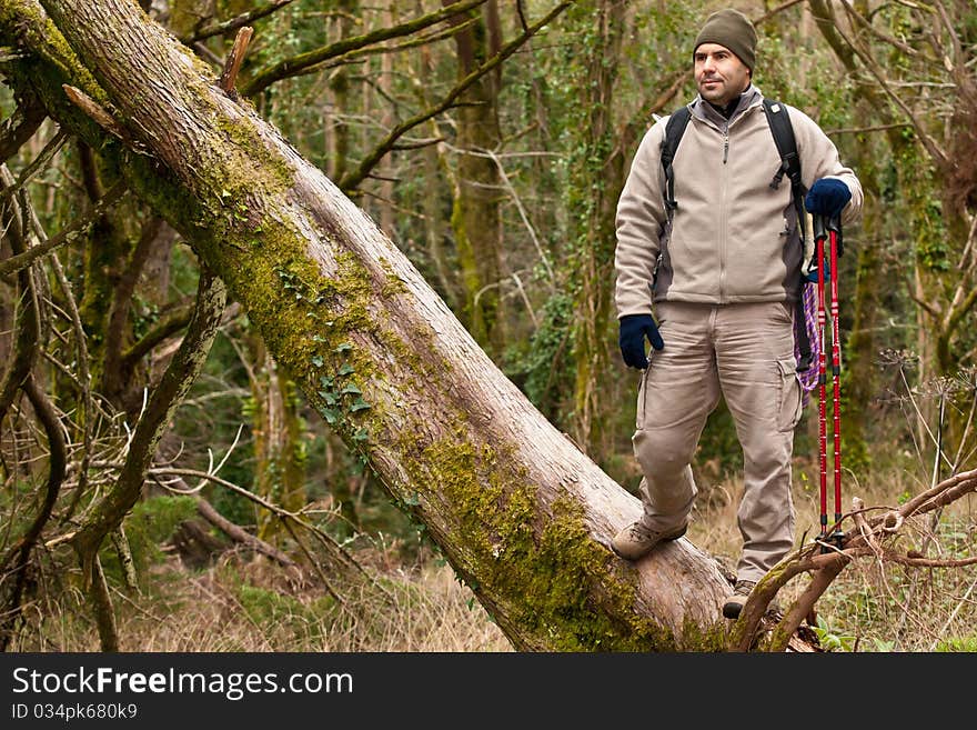 Hiker after clibing a fallen tree. Hiker after clibing a fallen tree