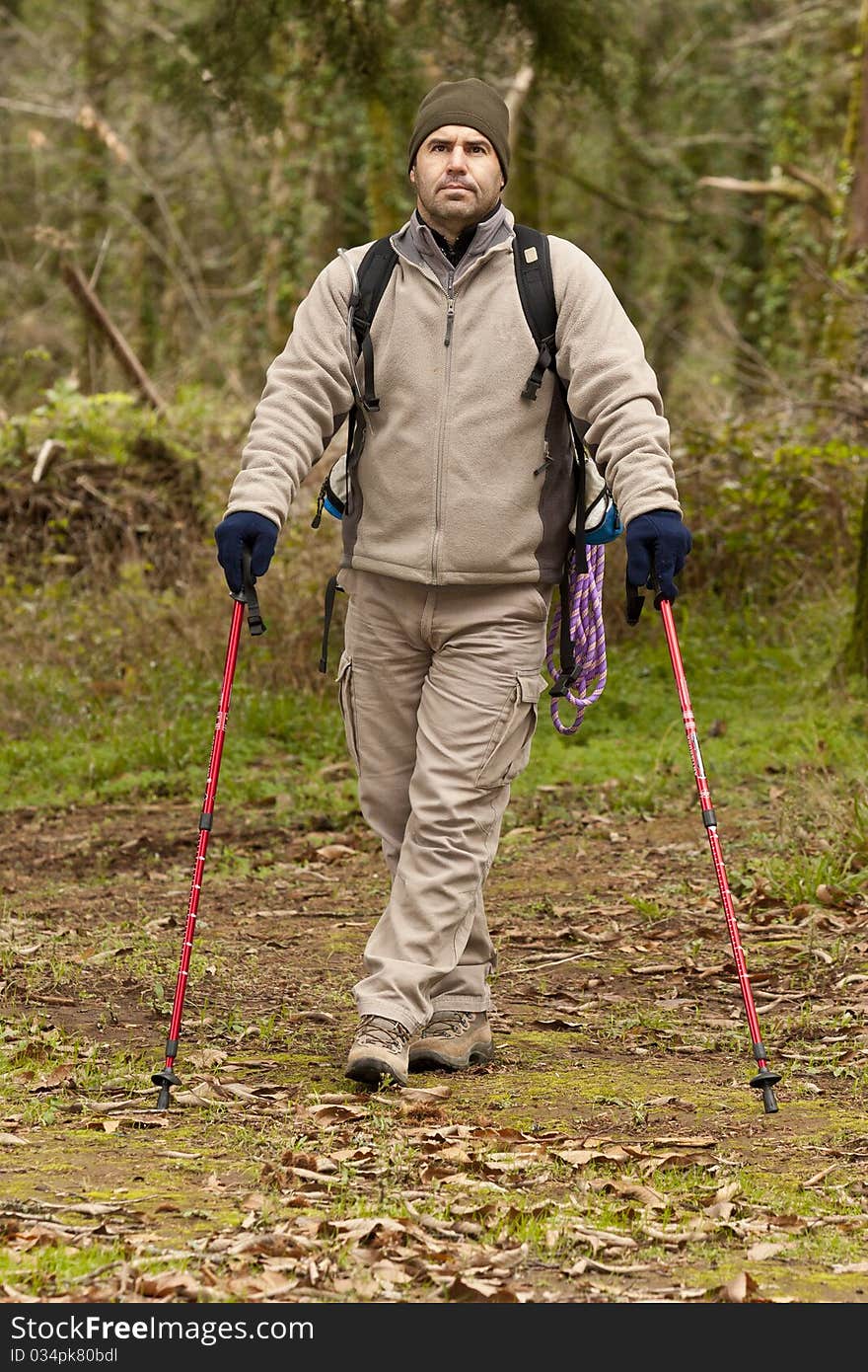 Hiker looking to sky in the forest