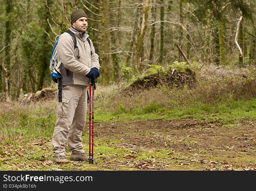 Hiker looking to sky in the forest