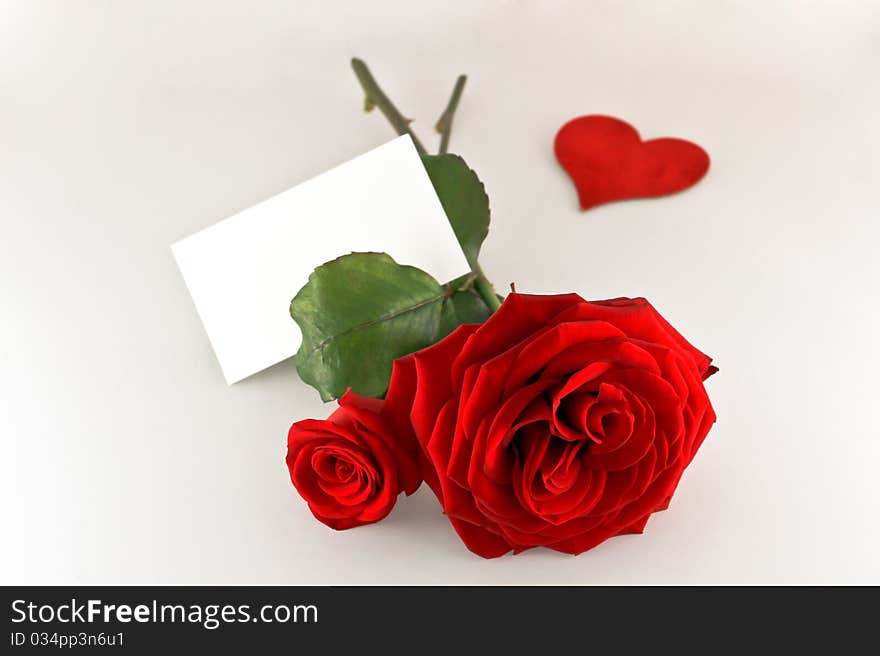 Two roses with one card and one heart. Two roses with one card and one heart