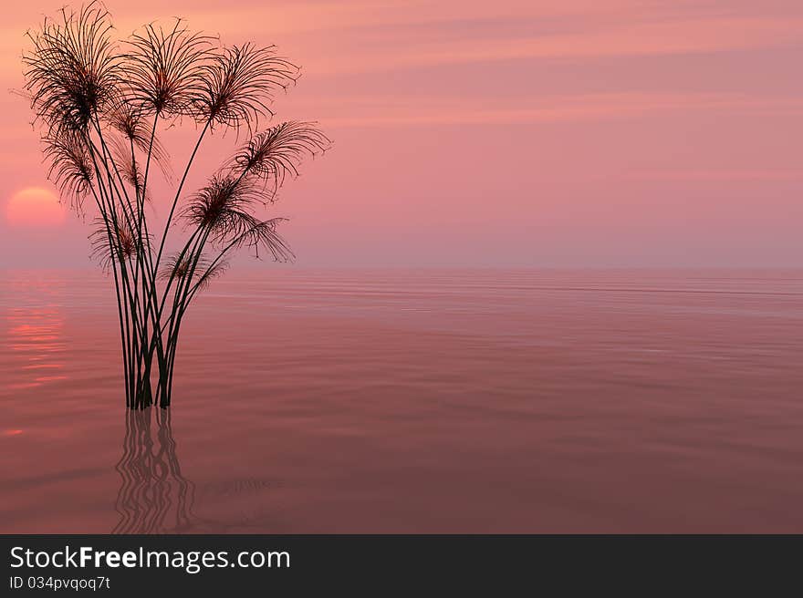 Dead tree at sunset beach