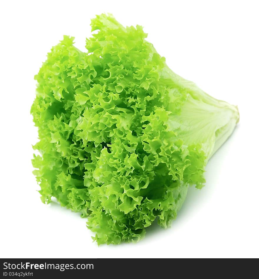 Salad leaves on a white background. Salad leaves on a white background