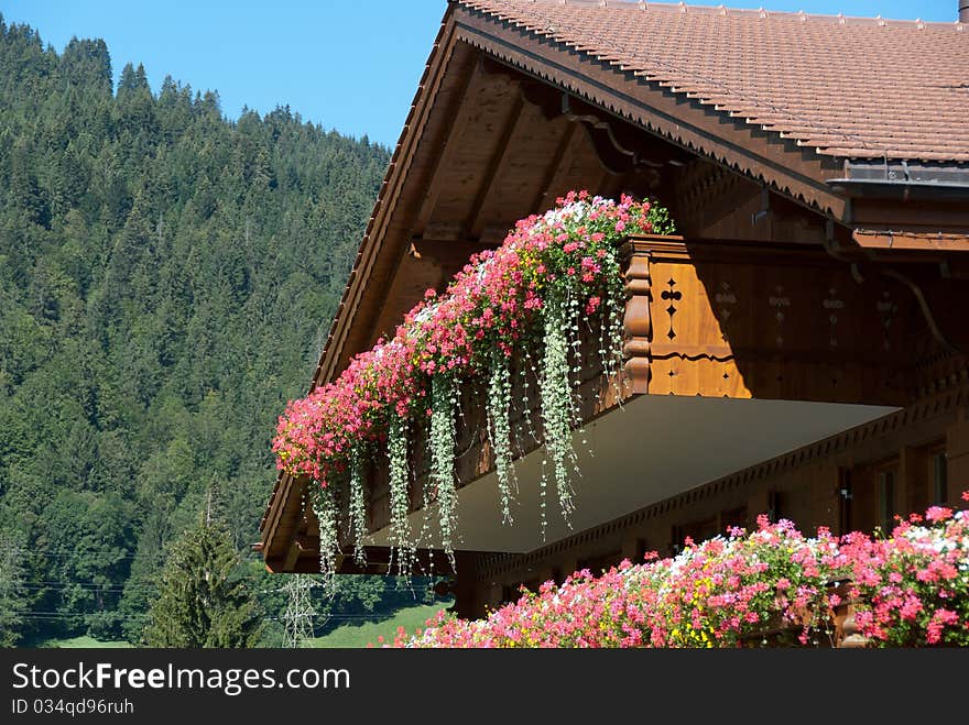 Balconies full of flowers hanging. Balconies full of flowers hanging