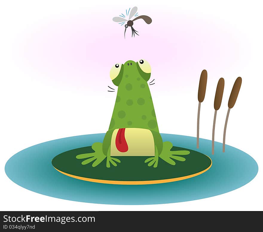 Frog and gnat