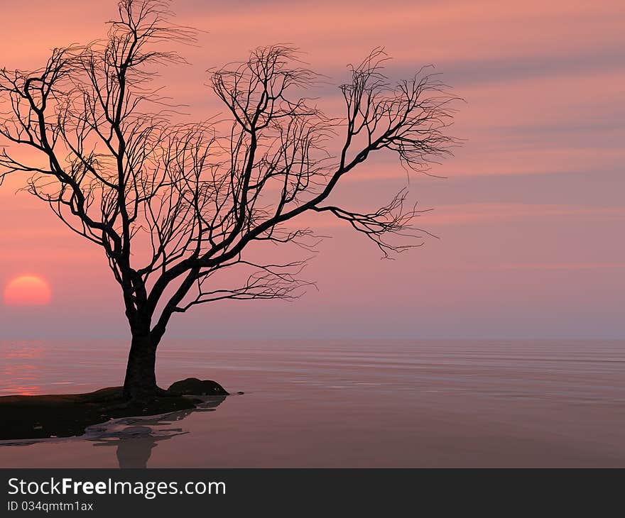 Dead tree at sunset beach