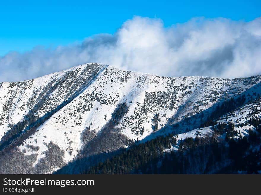 Snow-covered forest on mountain. Snow-covered forest on mountain