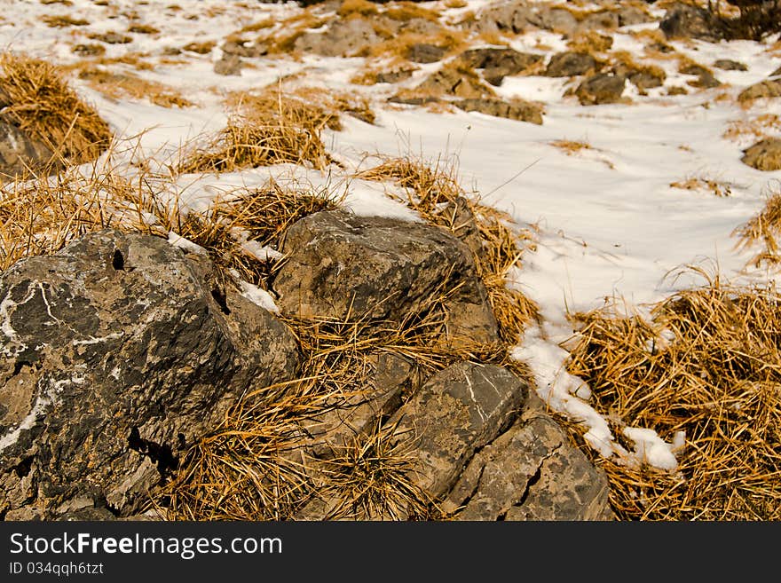 Snow-covered Rocks