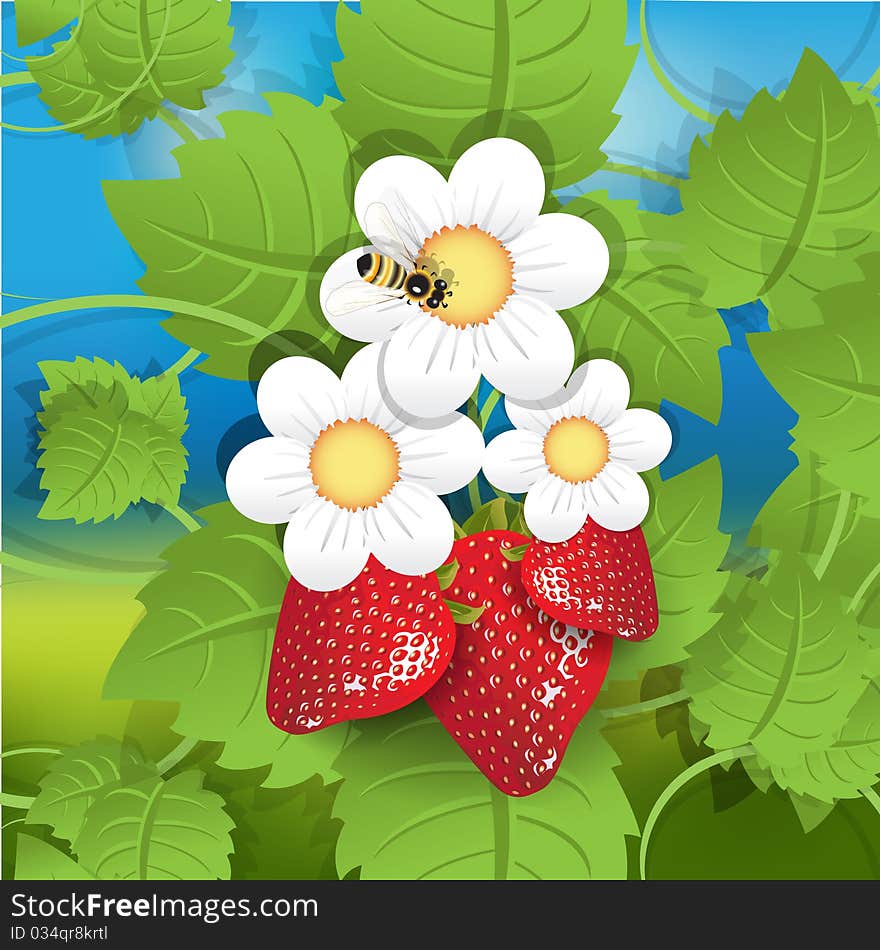 Illustration, red strawberry, white flower and bee