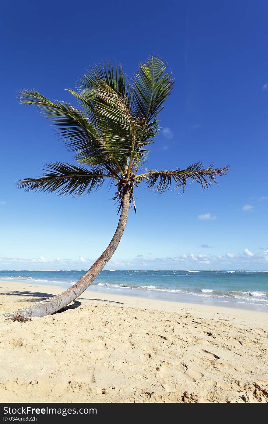 Caraïbean beach with blue sky and clouds. Caraïbean beach with blue sky and clouds