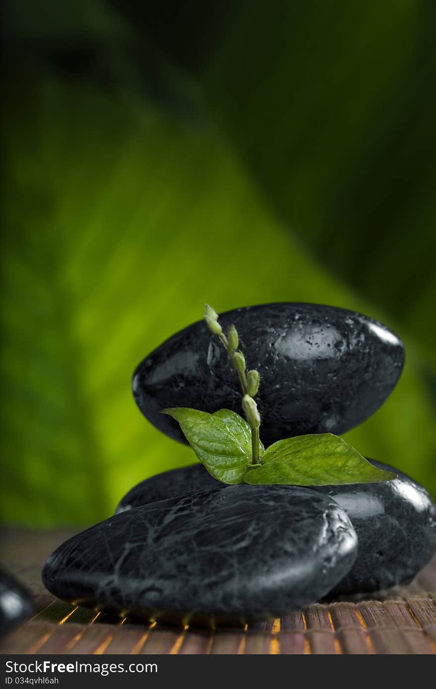 Close up view of  gray stones  and leaf  on color back