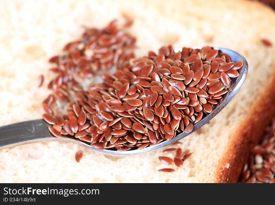 Linseed Closeup