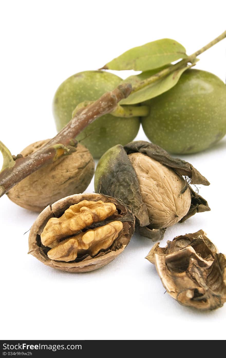 Walnuts with leaf isolated on a white background