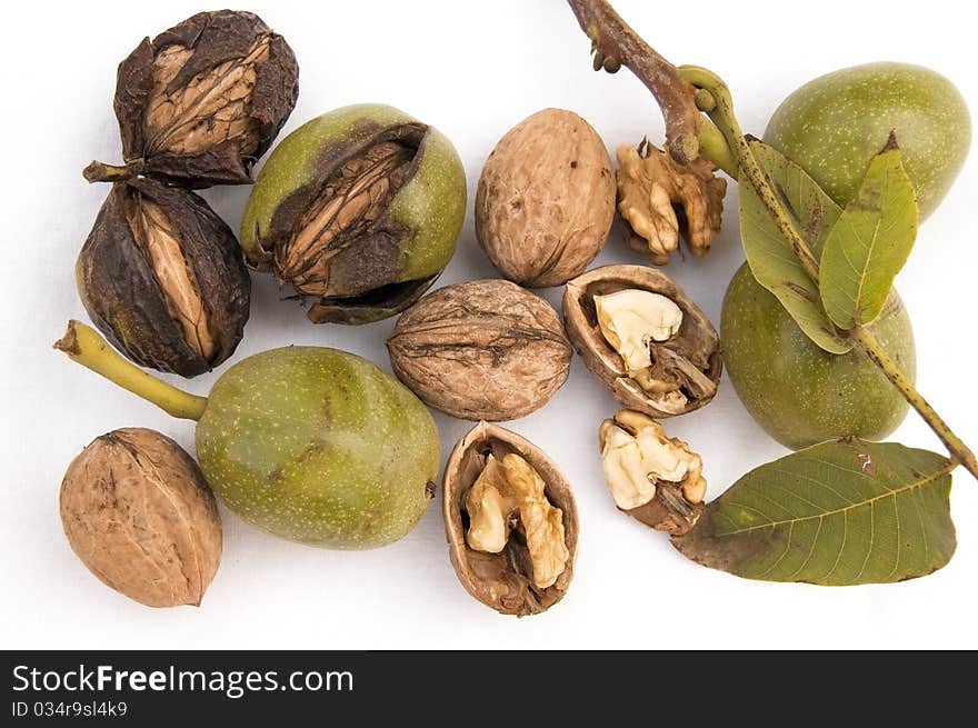 Walnuts with leaf isolated on a white background