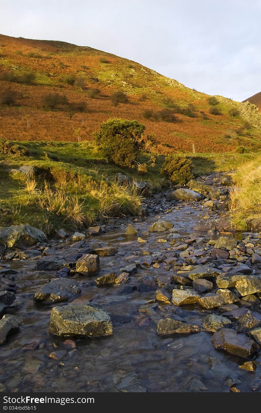 Long Mynd