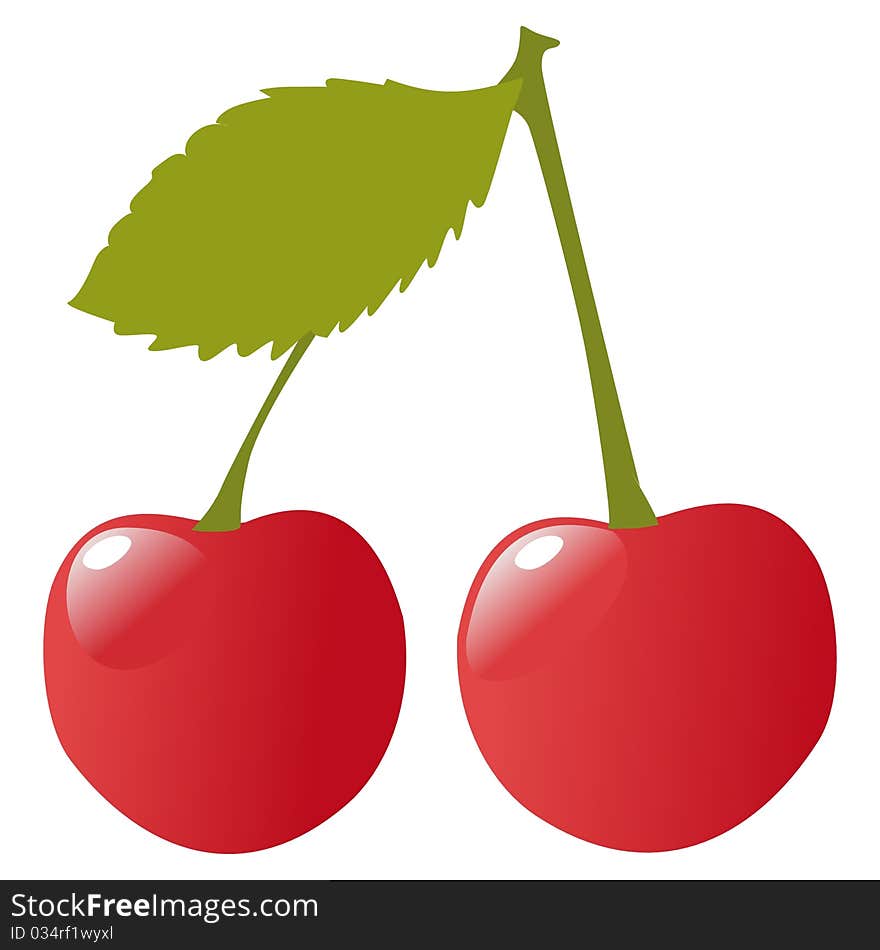 Colored illustrated of sweet cherries