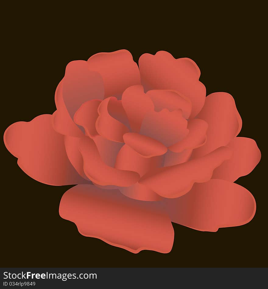 Beautiful red closeup isolated rose on a black background. Beautiful red closeup isolated rose on a black background