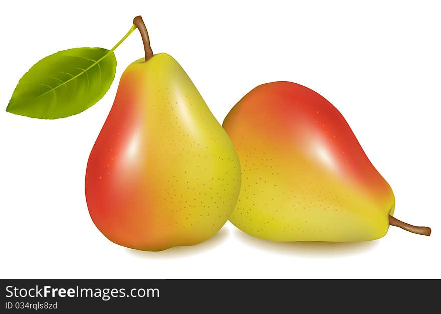 Two ripe yellow pears with green leaf. Vector