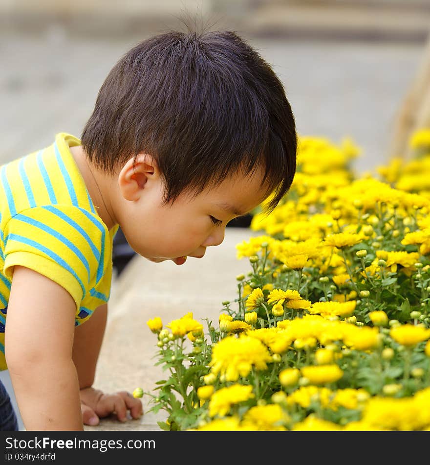 A cute baby is playing in garden