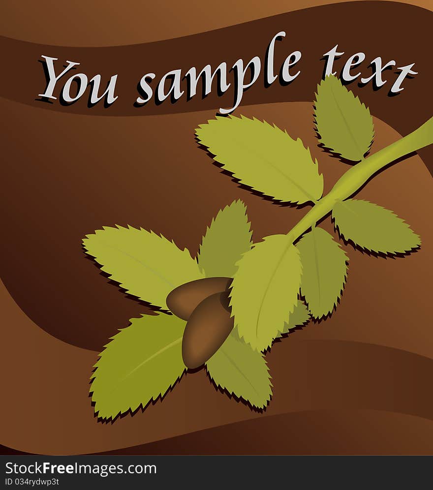 Greeting card with a branch, leaves and a nuts - vector