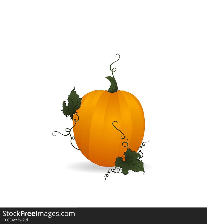 Ripe orange pumpkin vegetable with green leaves - vector