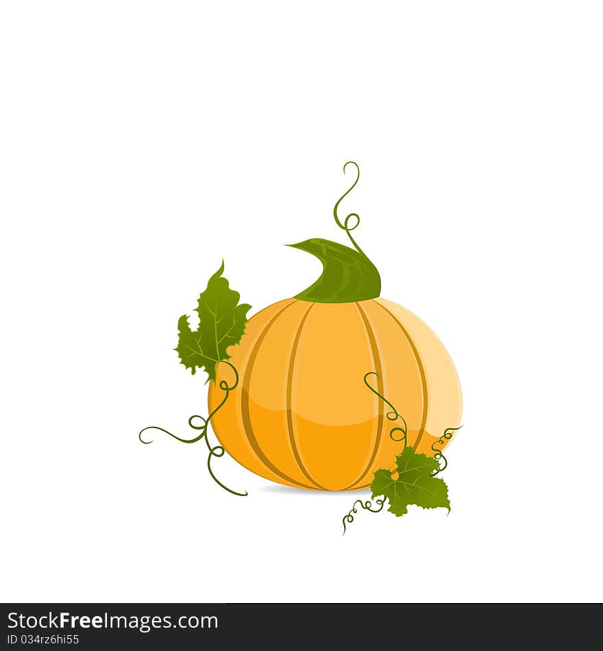 Ripe Orange Pumpkin Vegetable