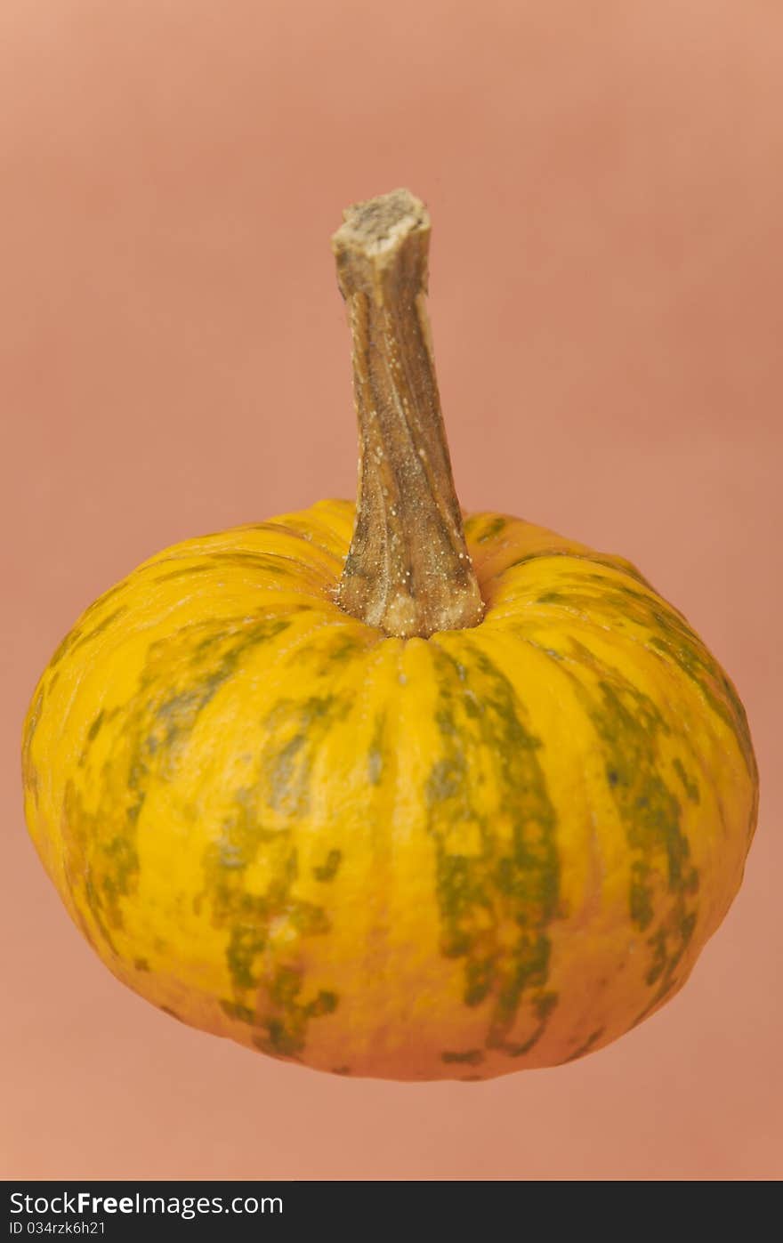 Colorful pumpkin with orange background