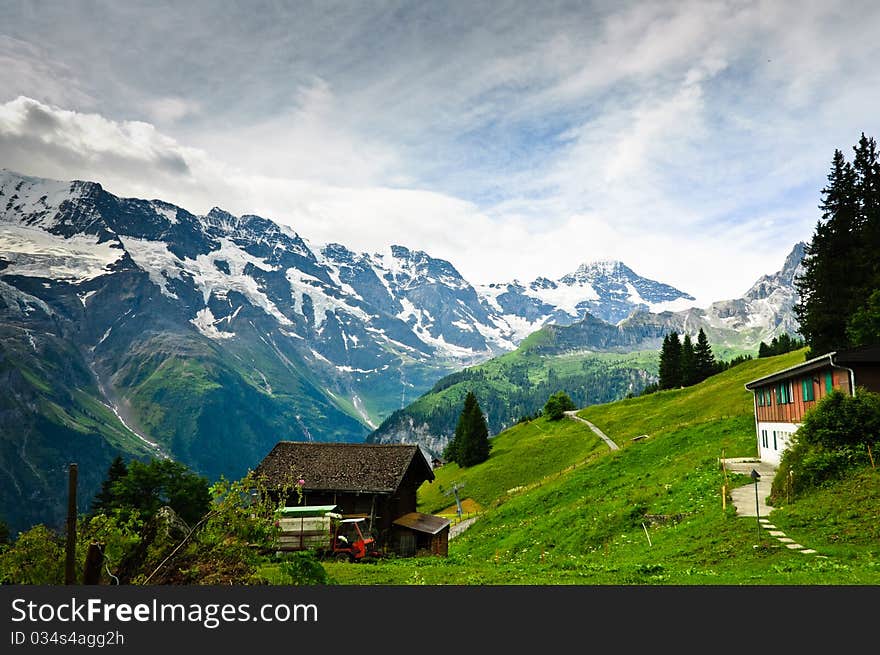 Alpine meadows in the Bernese Alps Murren Switzerland