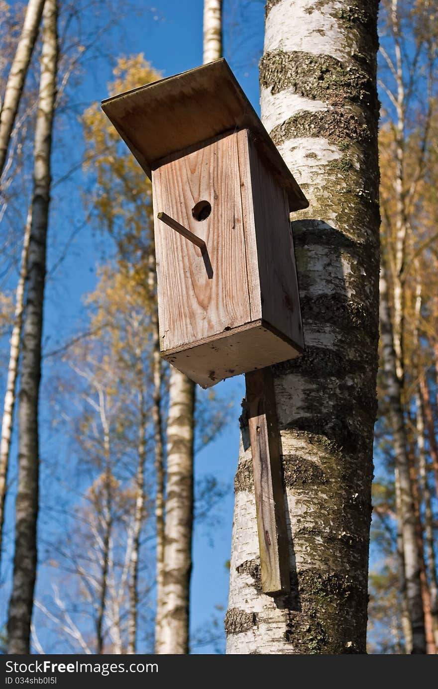 A wooden starling-house on a birch tree