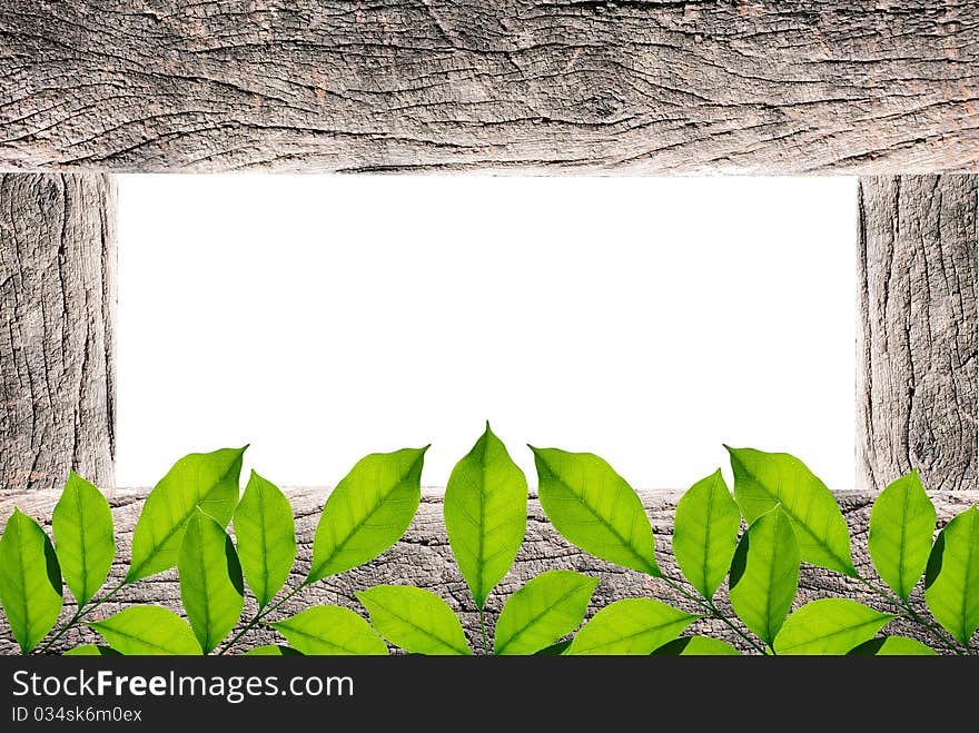 Handmade picture frame isolated on white background. made from driftwood and lief