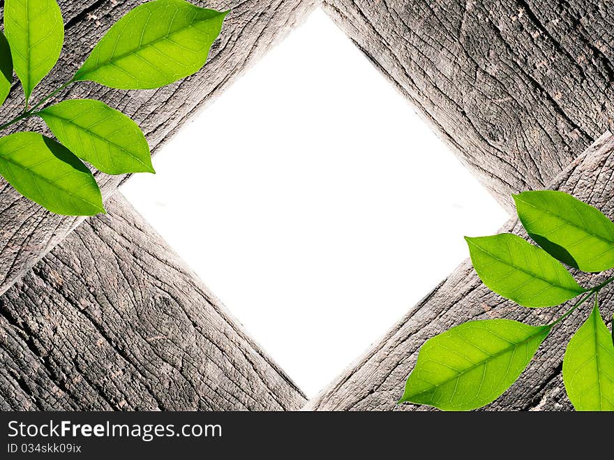 Handmade picture frame isolated on white background. made from driftwood and lief