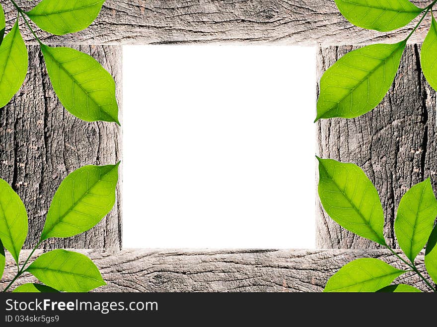 Handmade picture frame isolated on white background. made from driftwood and lief