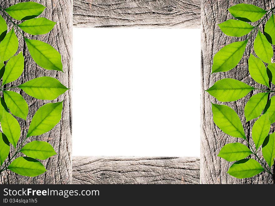 Handmade picture frame isolated on white background. made from driftwood and lief