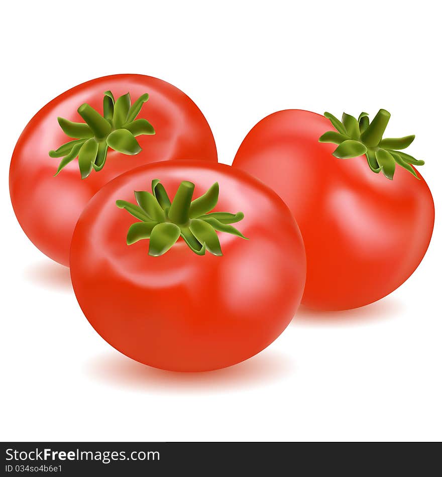 Illustration of tomatoes on white background