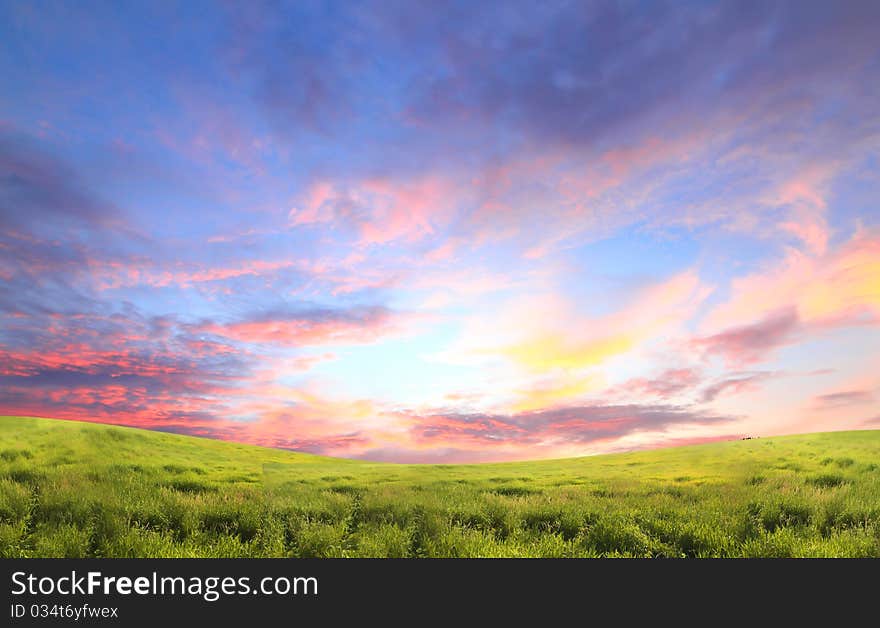 Spring green field and beautiful sunset. Rural landscape. Spring green field and beautiful sunset. Rural landscape