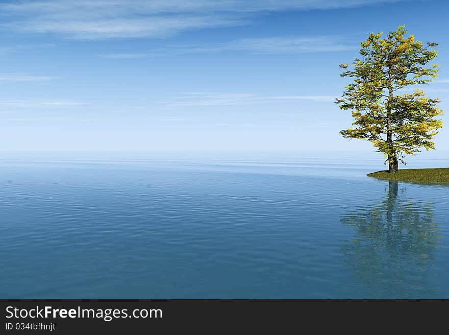 Alone Tree at sea beach