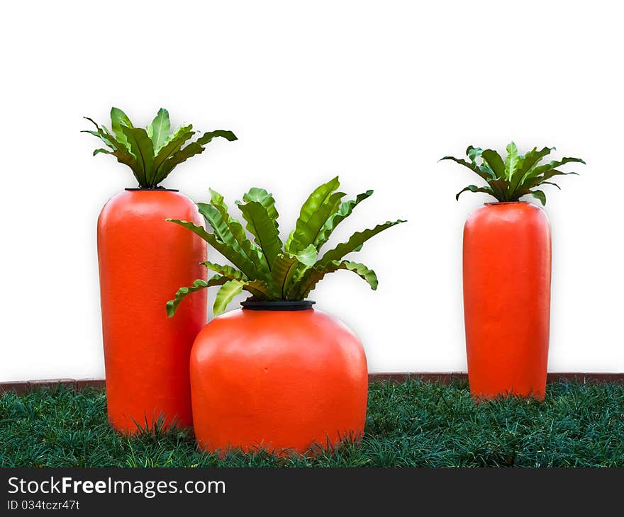 Big carrot isolated on white background