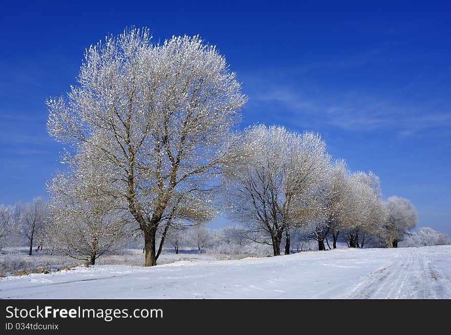 Hoard frost