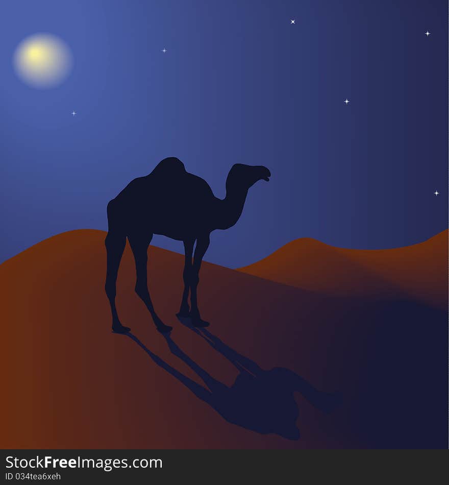 Vector camel at night in the desert