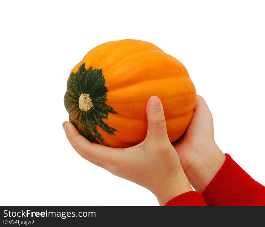 Pumpkin orange food nature background