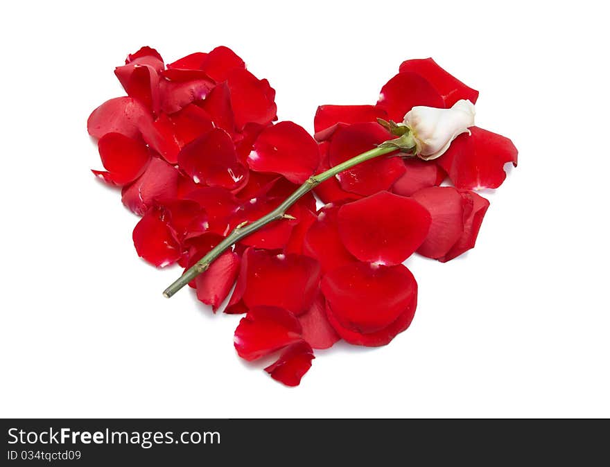 Heart from red rose petals and white flower on it