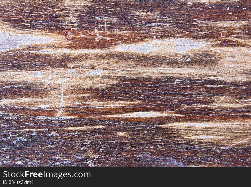 Texture of old wood