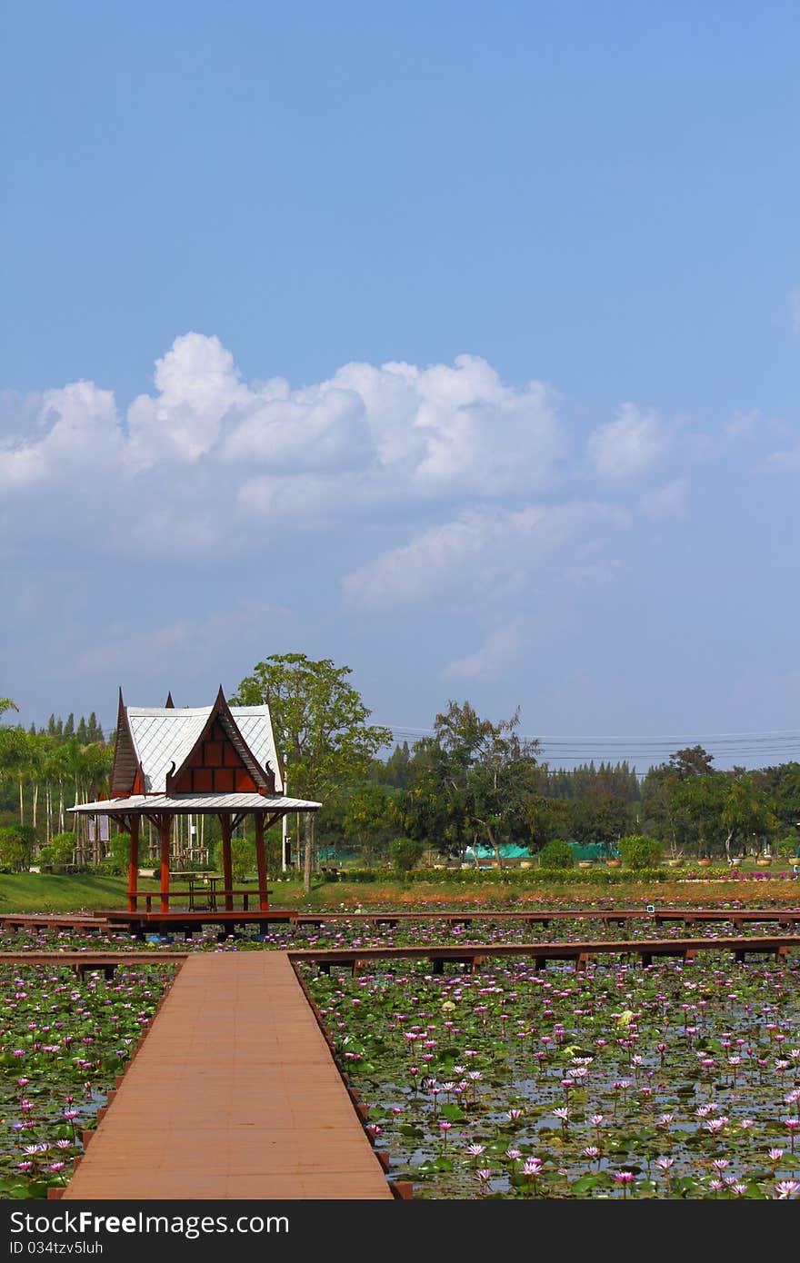 Lotus pool in fort at the resort