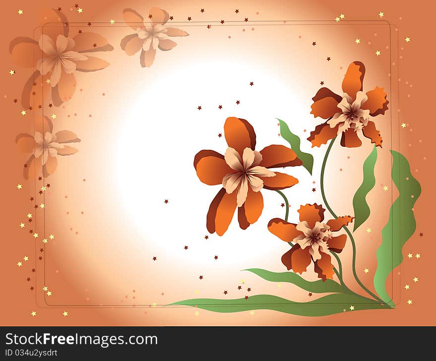 Flower orchid ,orange background frame